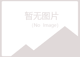 夏河县夜山金属有限公司